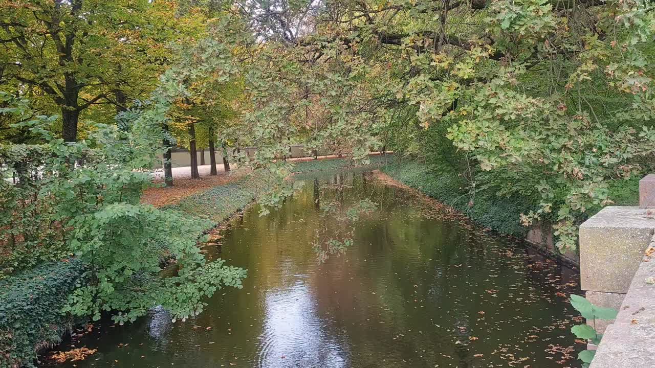fotografía estática de un arroyo con árboles colgando en la temporada de otoño