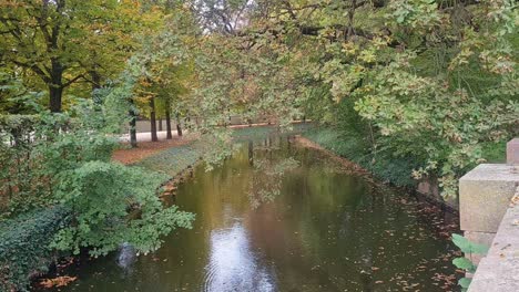 fotografía estática de un arroyo con árboles colgando en la temporada de otoño