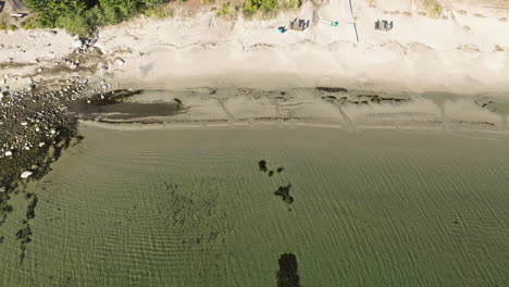 Ein-Blick-Auf-Einen-Weißen-Sandstrand-Mit-Kristallklarem-Strand-Während-Der-Sonnigen-Herbstsaison-In-Schweden