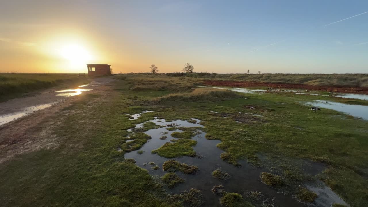 vista dorada de la puesta de sol de las tierras pantanosas poco profundas con un pequeño edificio de ladrillo, escena costera con puesta de sol dorada, agua ondulada poco profunda y exuberante vida vegetal