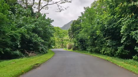 Oahu Island, Hawaii USA. Driving on Road in Hoʻomaluhia Botanical Garden Tropical Rainforest Point of View