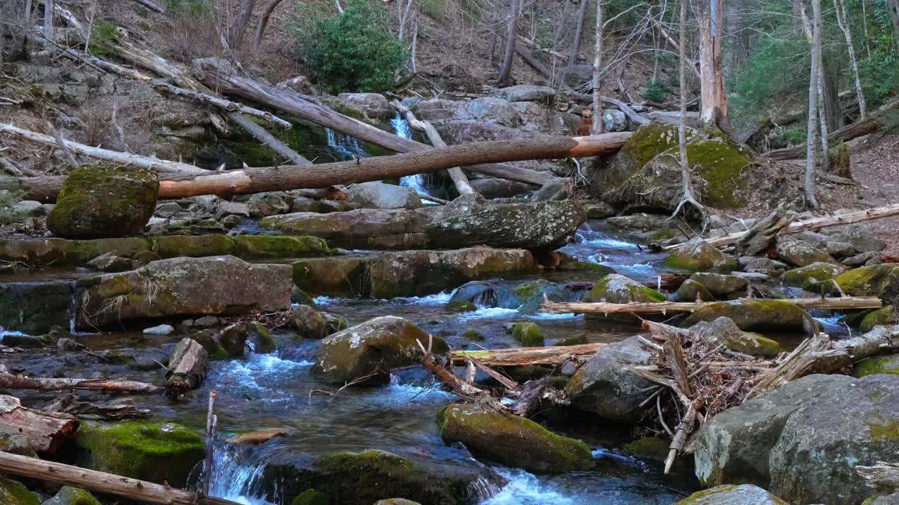 Bjergstrøm med vandfald og væltede træer i skoven. Nærbillede af klart vand, der strømmer over mosbegroede sten og træstammer ved Mount Tammany, USA.
