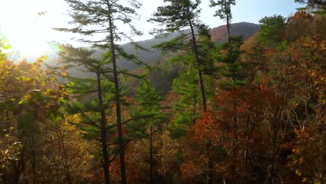 Drohne-Fliegt-Durch-Bäume-Und-Enthüllt-Berge-Voller-Herbstfarben-In-Georgien