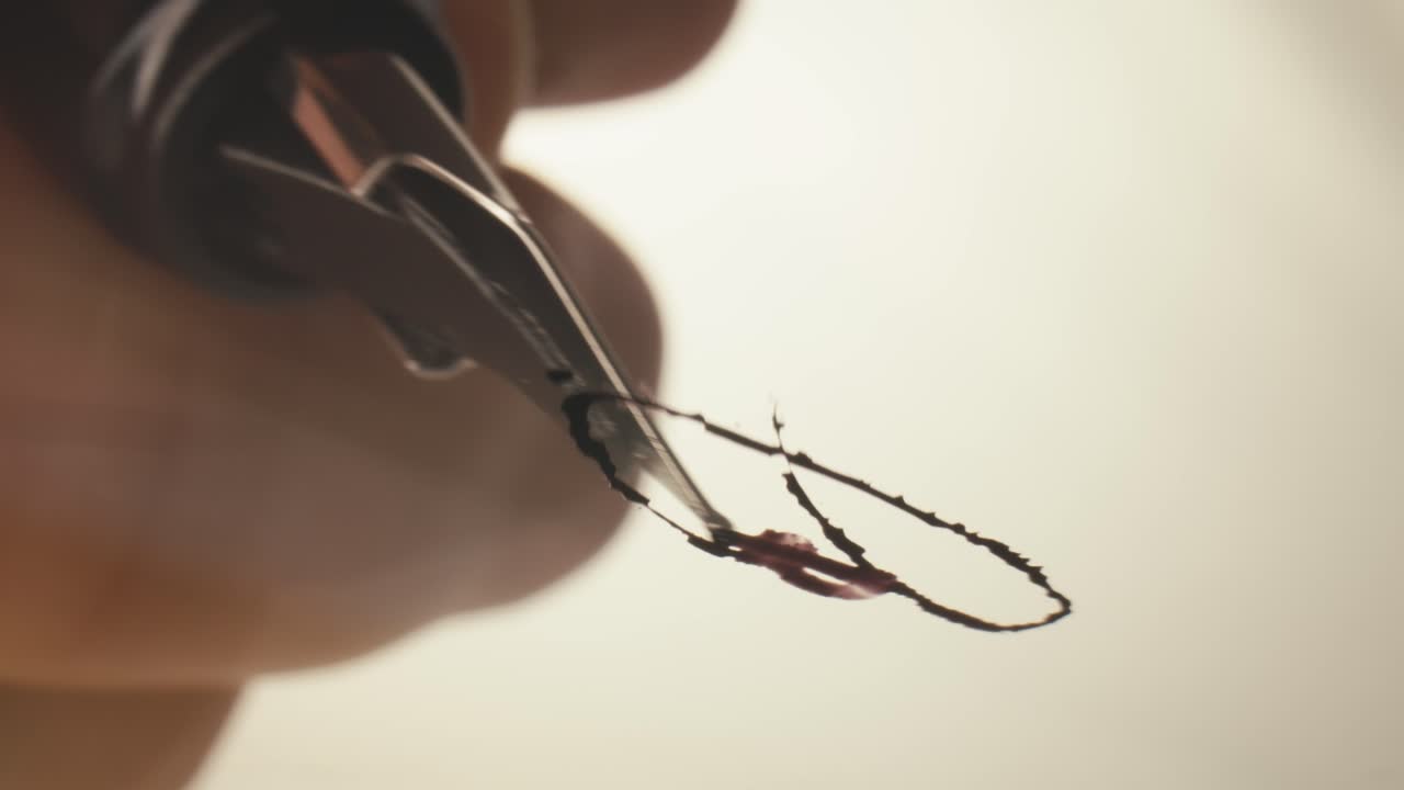 Primo piano di una penna stilografica che scrive con inchiostro su carta