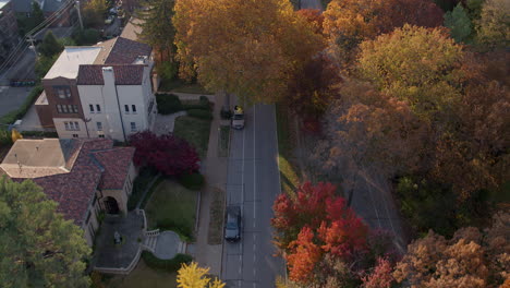 Flyover-beautiful-tree-lined-boulevard-in-Clayton-in-St