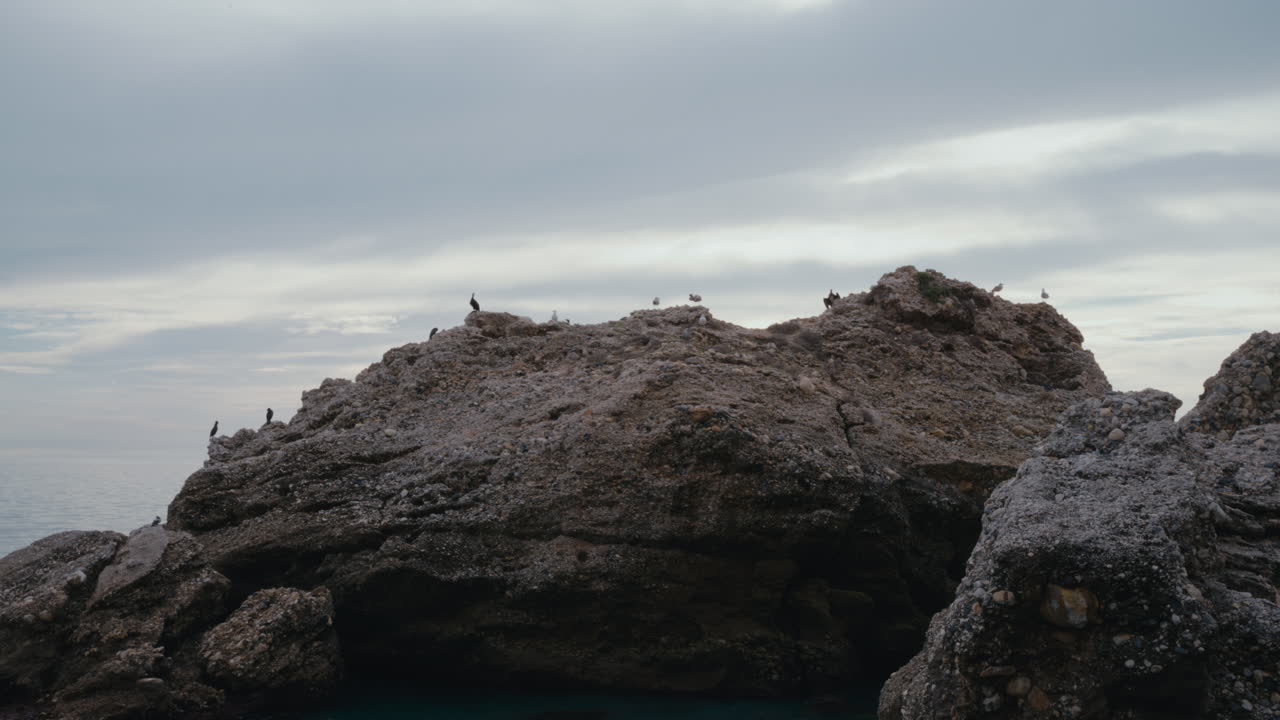 Wide cinematic shot of seabirds perched on a rugged coastal rock formation above calm sea. Overcast sky and dramatic textures in seaside view