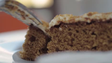 fork and helping of carrot cake macro