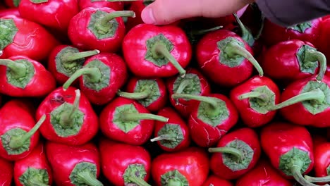 hombre comprando verduras y frutas en una tienda de verduras