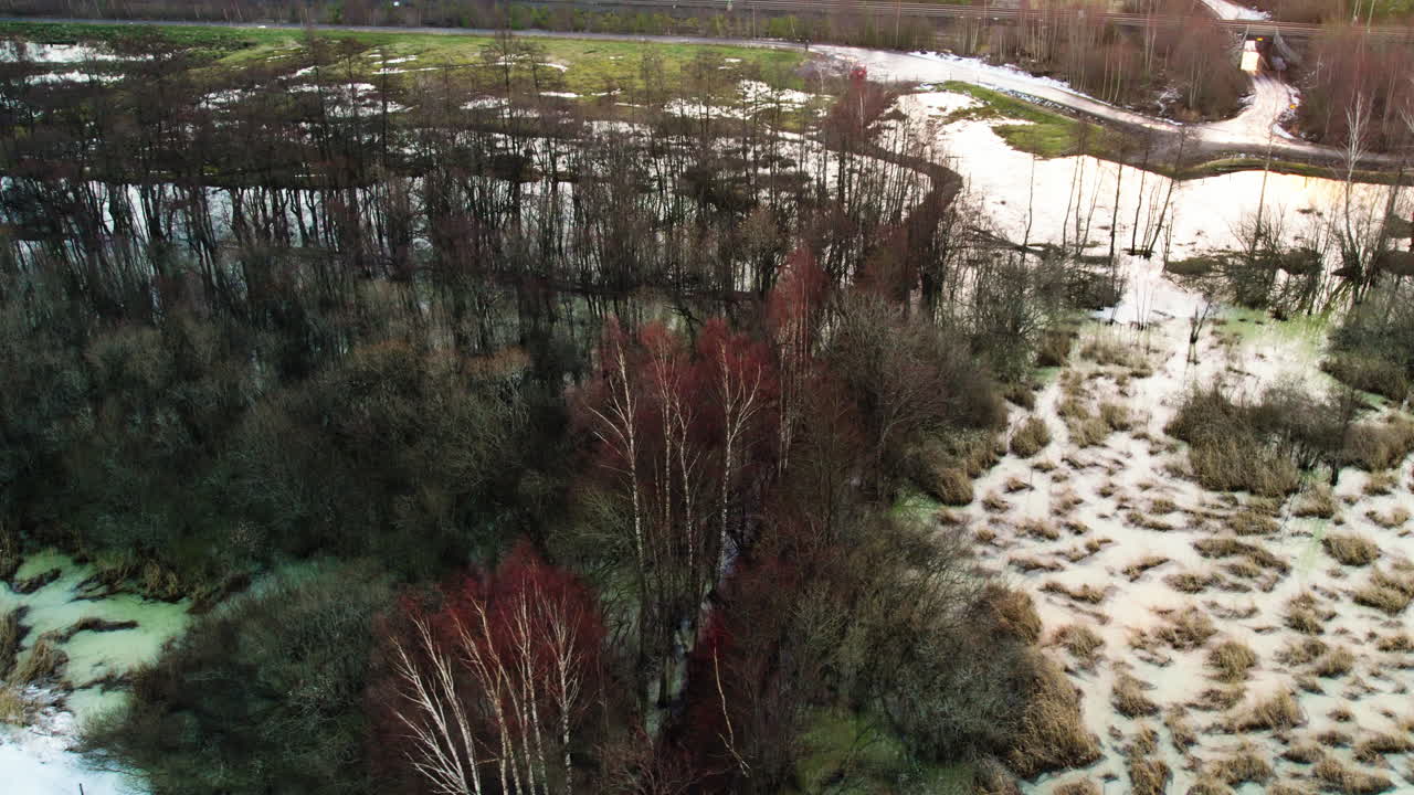 숲 한가운데의 시골 도로, 눈에 싸인, 스칸디나비아, 공중