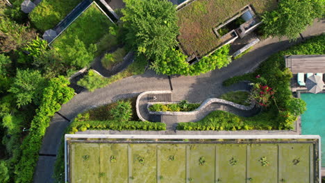 person walks down the stairs to curvy concrete footpath winding between tropical villas at luxury hotel and resort in nusa penida bali indonesia, aerial top down descend