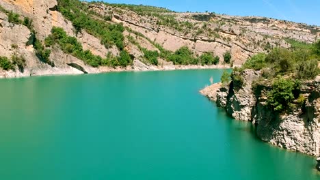 natural tree on the rocks of the catalonia spain mountain