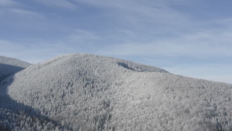 aerial shot of white snow covered mountain, scenic boreal forest during winter