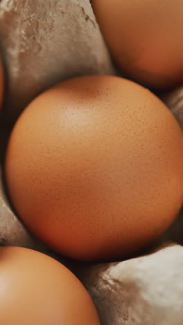 video de primer plano de huevos marrones en fondo de cartón de huevos