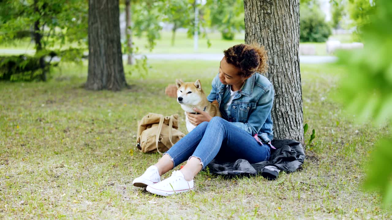 Happy dog owner attractive African American girl is stroking her purebred dog and talking to it sitting on lawn in park with green trees around on windy summer day.