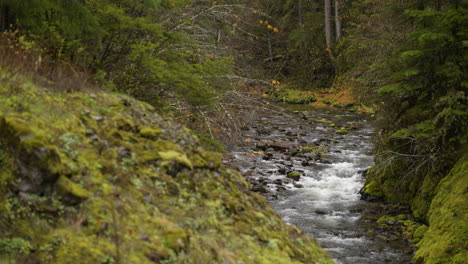 Closeup-pan-across-flowing-creek