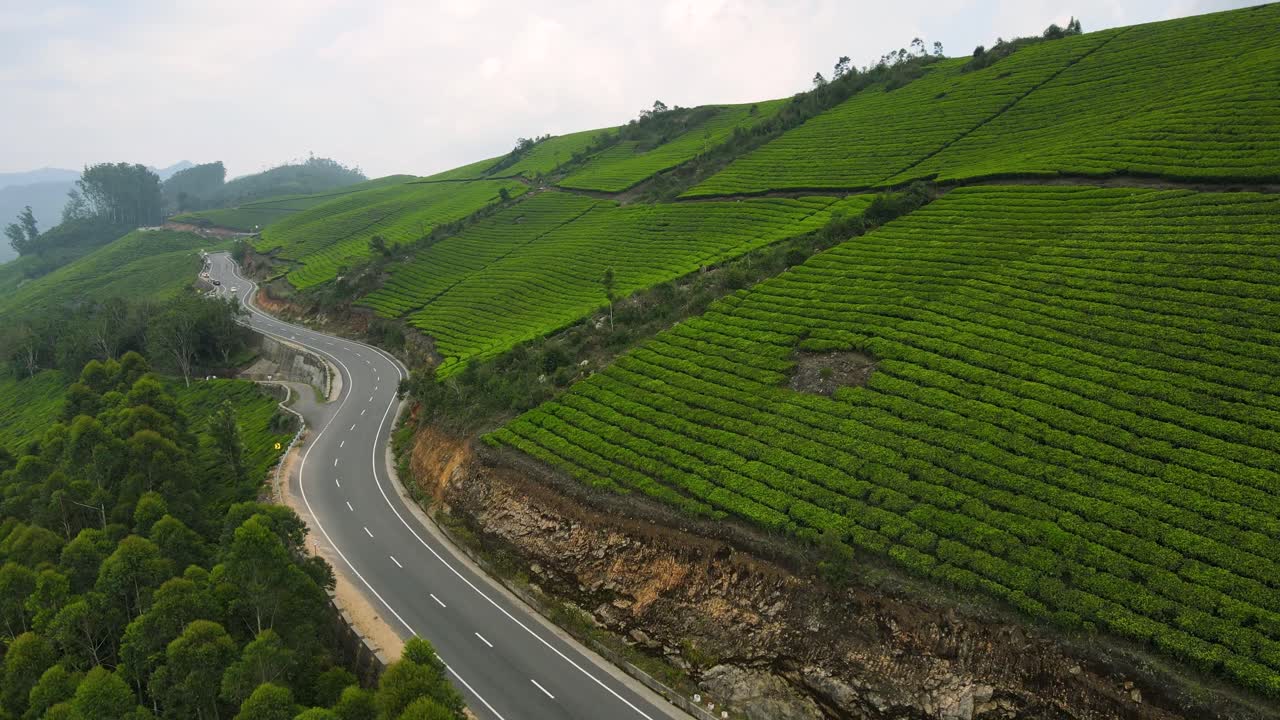 Ripresa aerea con drone delle idilliache piantagioni di tè e delle dolci colline verdi di Munnar.