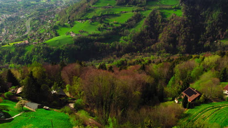 Aerial-birdseye-view-of-Swiss-countryside-on-a-windy-day,-tilting-up-into-the-horizon-to-reveal-the-landscape