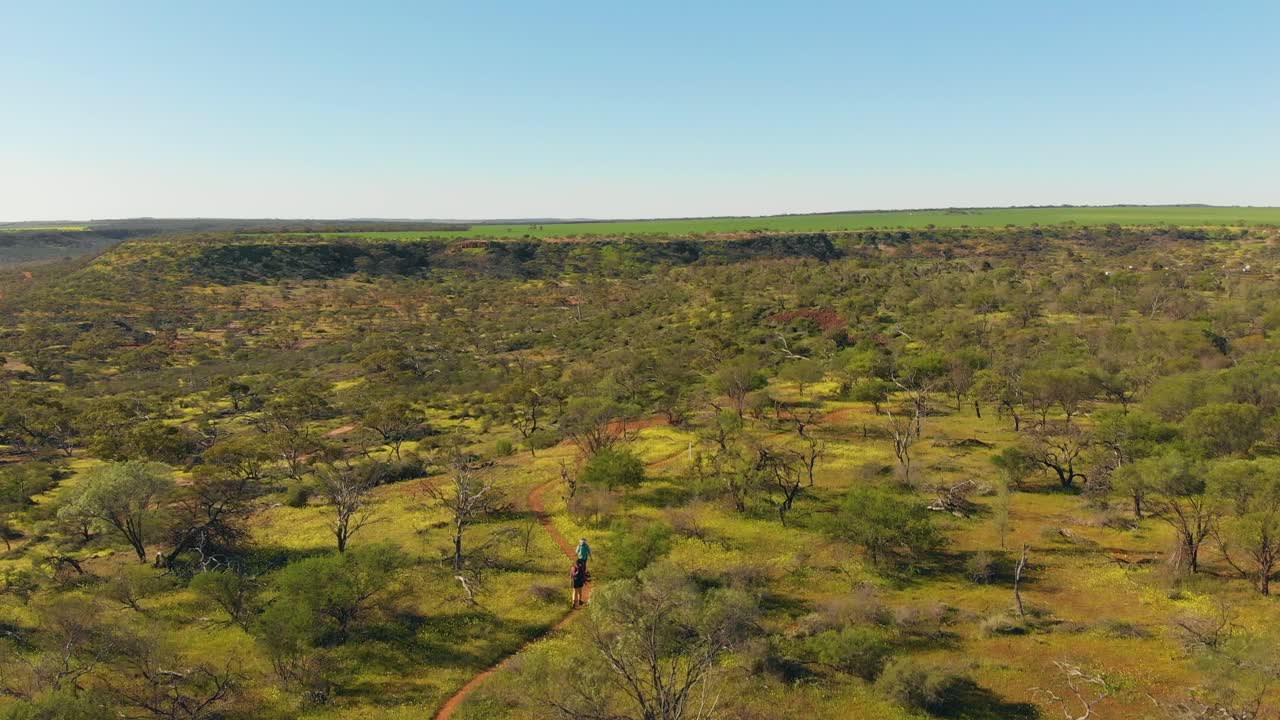Stigende droneoptagelse af vandrere, der går mod en dal med vilde blomster, Vestaustralien