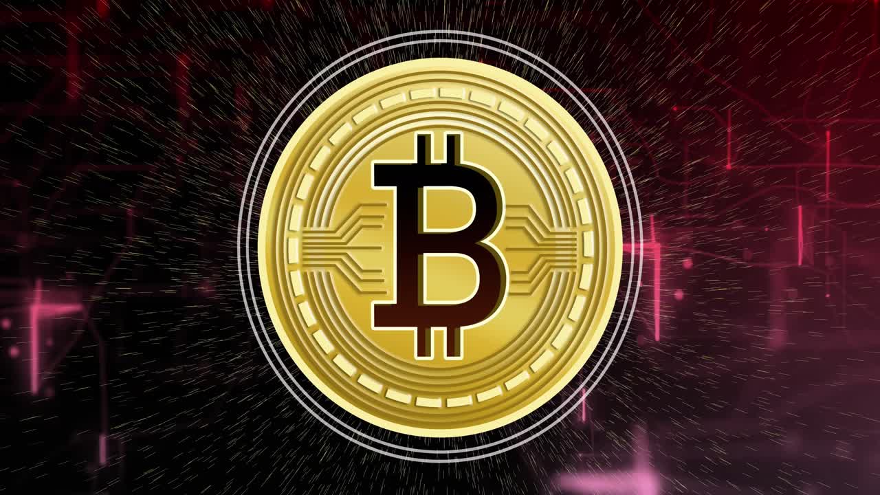 Animation of data processing and bitcoin over black background