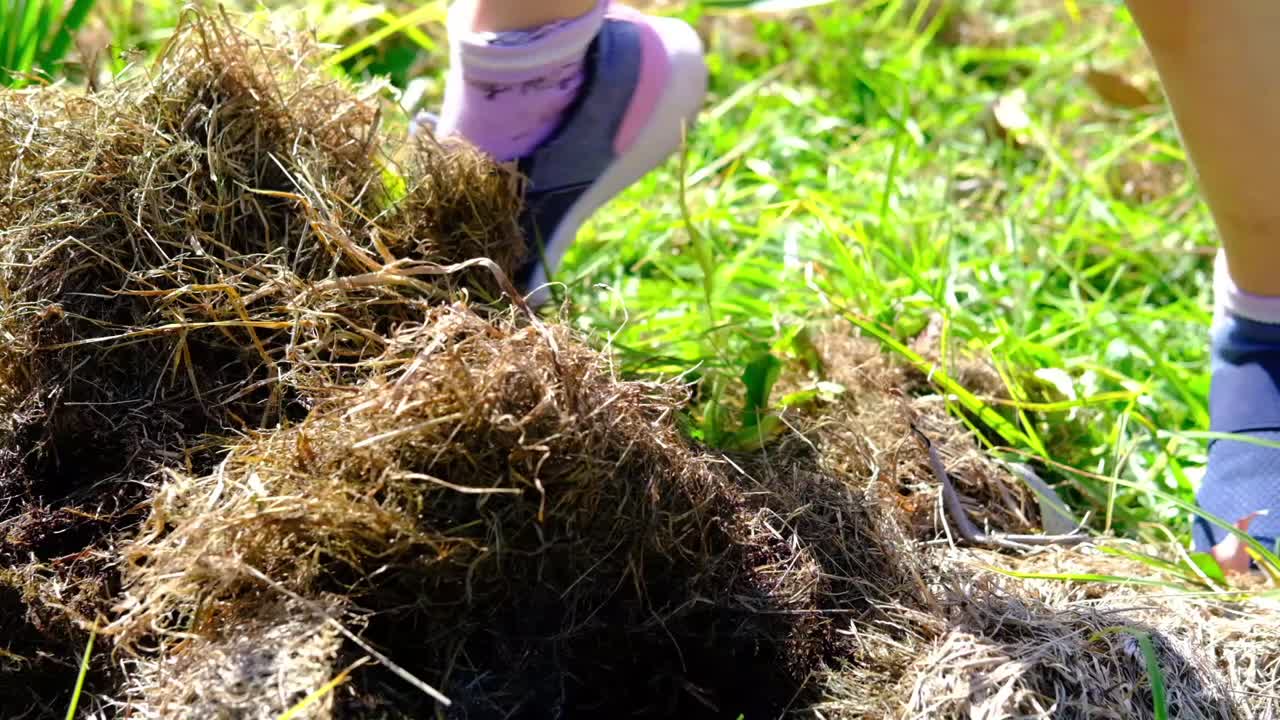 Girl kicking long grass in a field