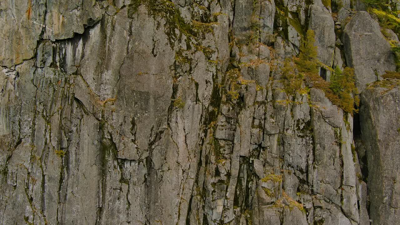 acantilado rocoso y árboles en la naturaleza canadiense