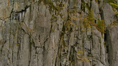 rocky cliff and trees in canadian nature