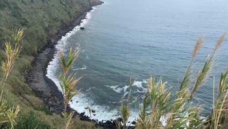 ocean landsccape view from the top of green hill