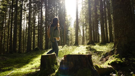 woman hiking in a pine forest