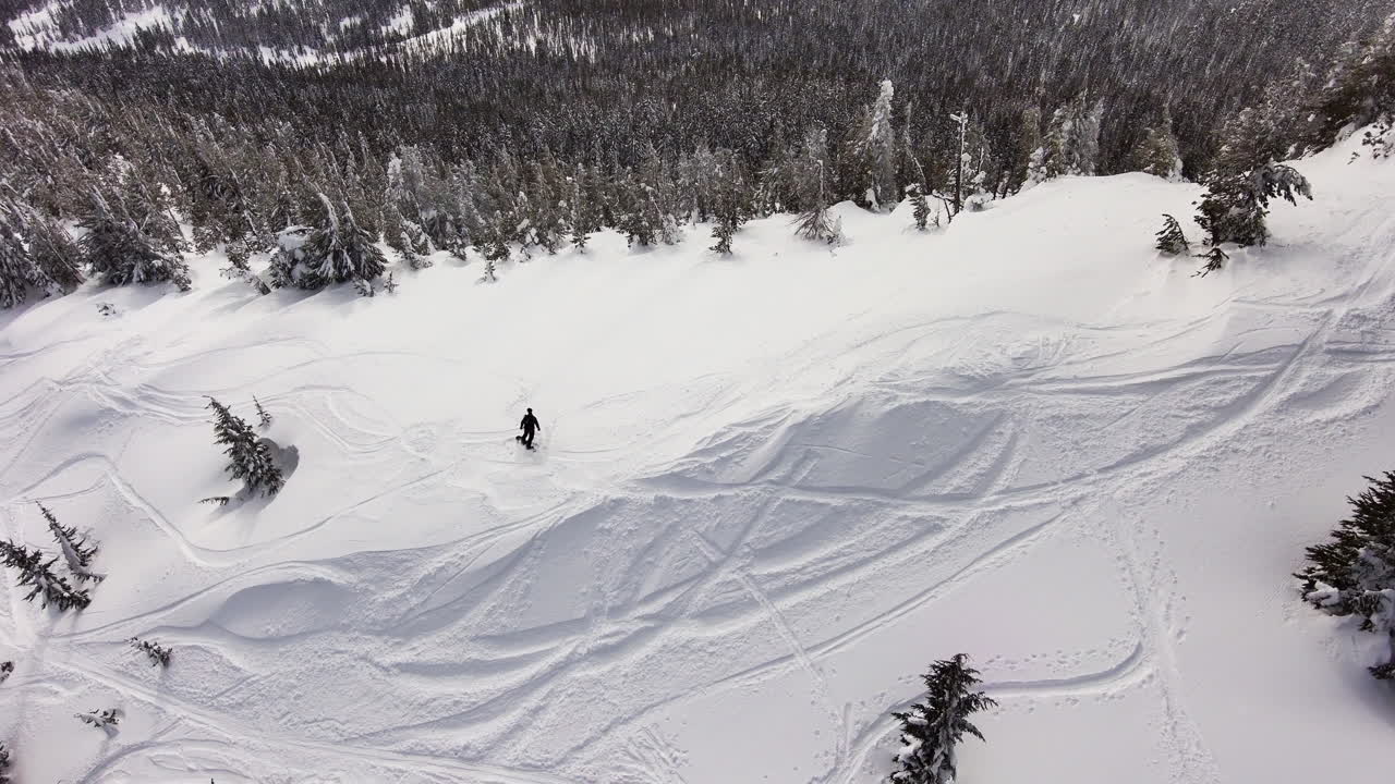 Ripresa aerea con drone di un singolo snowboarder fuoripista in neve fresca.
