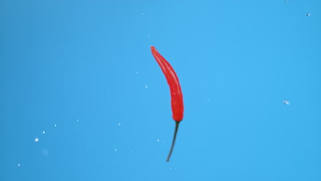 single small red chili pepper thrown from a launcher and flying in air, tip staying in focus. high quality cinematic studio commercial super slow motion 1000fps fresh pepper moving up and down.