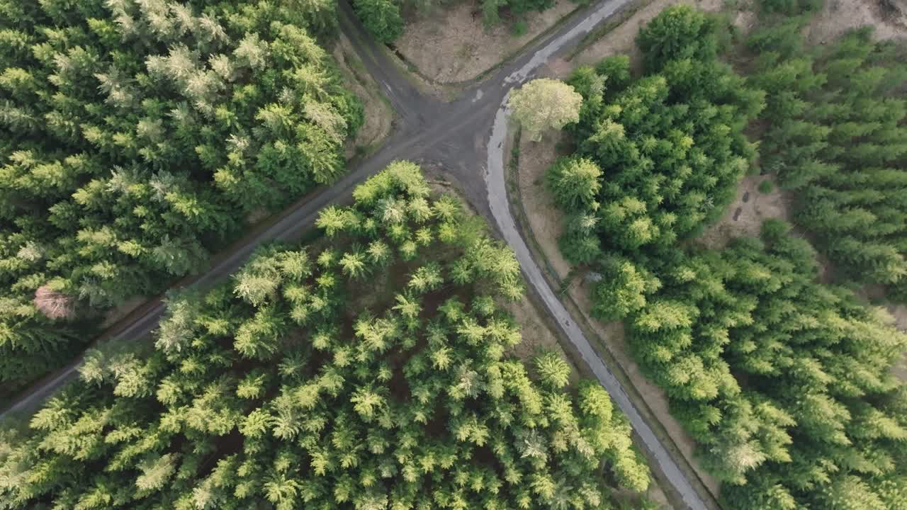 vista de pájaro de un cruce de carretera en el bosque en un día soleado