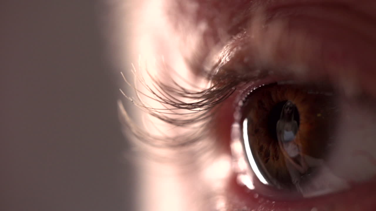 여자의 눈을 올려다