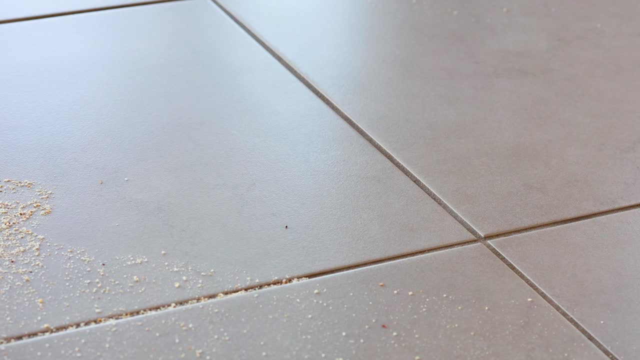 A vacuum cleaner removes debris from a tiled floor under natural sunlight, showcasing effective cleaning action
