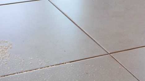 a vacuum cleaner removes debris from a tiled floor under natural sunlight, showcasing effective cleaning action