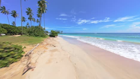 fpv flight over exotic palm tree coastline and sandy beach of playa los coquitos cabrera. sunny day with turquoise caribbean sea at maria trinidad sanchez province, dominican republic.