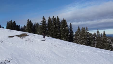 hombre escalando una montaña nevada con abetos en el fondo