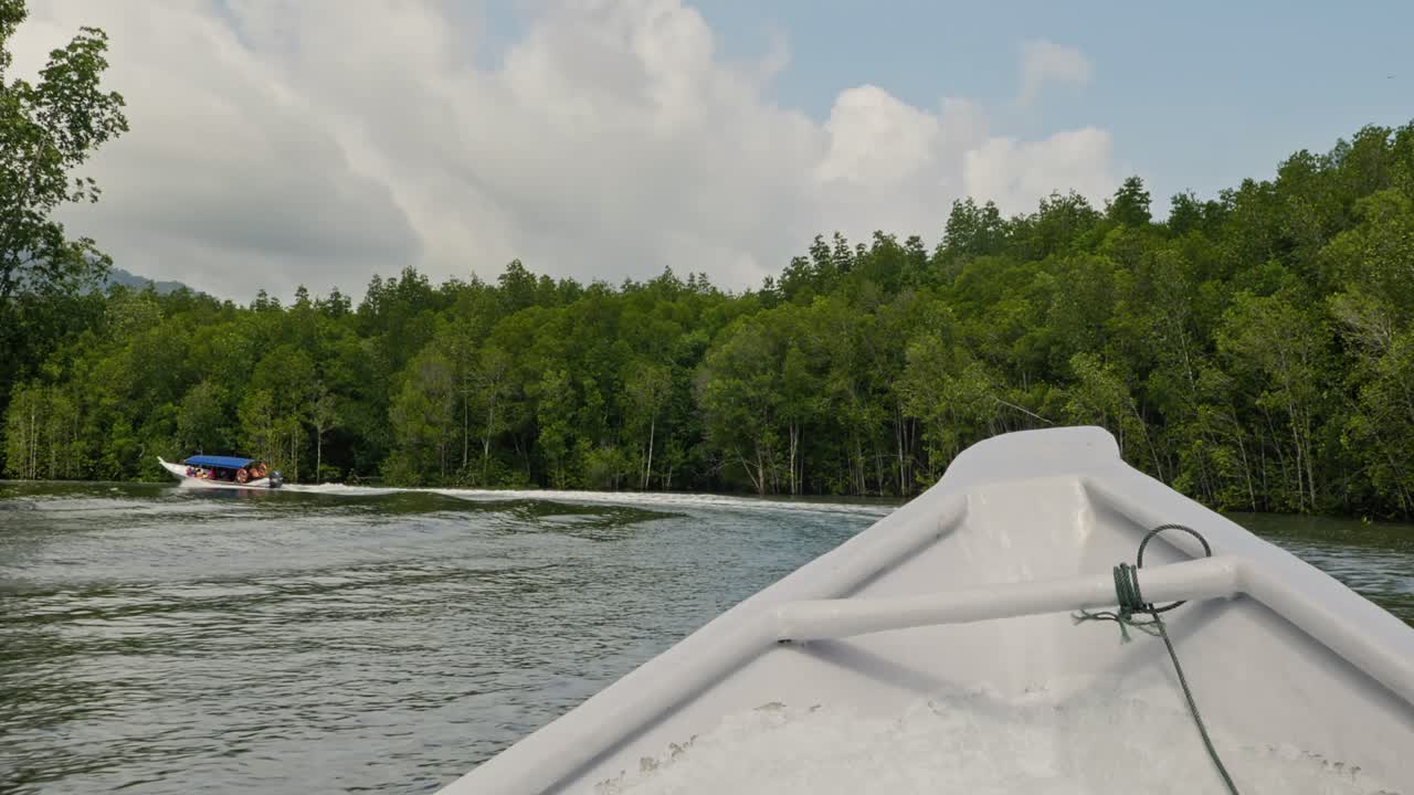 말레이시아 란카위 의 킬림 지오포레스트 공원 의 강 을 따라 여행 하는 관광 보트 들