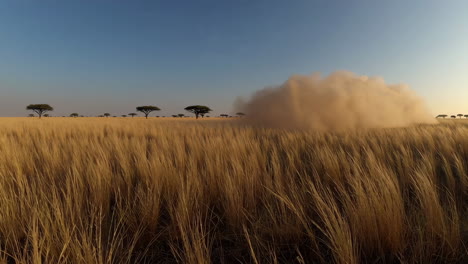 vast savanna landscape with dust plume and acacia trees
