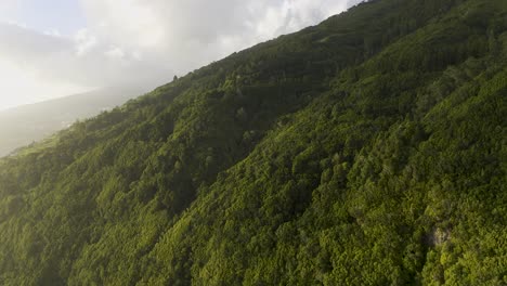 Exuberantes-Acantilados-Verdes-Dramáticos-De-Una-Isla,-Isla-De-São-Jorge,-Las-Azores,-Portugal