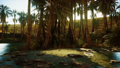 Palm-Trees-in-Sahara-Desert