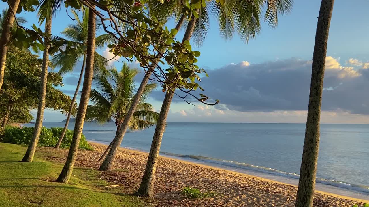 hermosa y tranquila playa tropical al amanecer mirando hacia el punto de la isla doble, con olas que lamen suavemente bajo un cielo azul y dorado con la costa bordeada de palmeras del norte de queensland