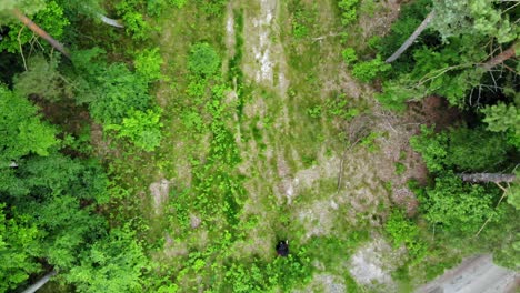 Mann-Im-Schwarzen-Umhang-Mit-Kapuze,-Der-Im-Dichten-Wald-Spaziert