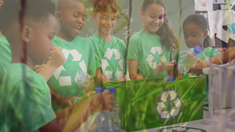 recycling at school 4k