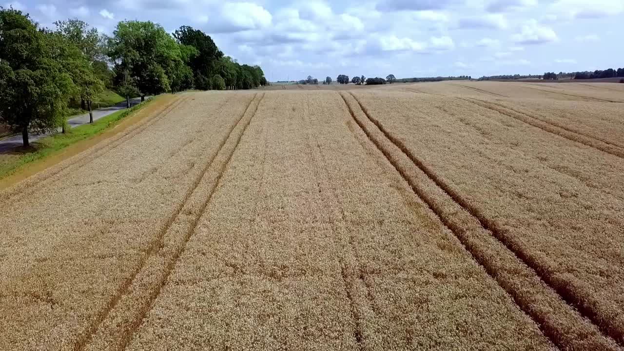 Rye Field Aerial Shot
