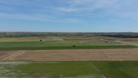 flight visualizing a large expanse of crop fields where we see green fields planted, others harvested and plowed and some with yellow and violet flowers with a background of a blue sky