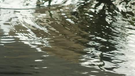 Changi-airport-water-flowing-closeup-in-Singapore