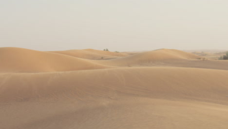 wind blowing over sand dune in the desert 1