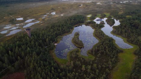 observation tower, boardwalks, lakes in mukri bog of estonia, aerial