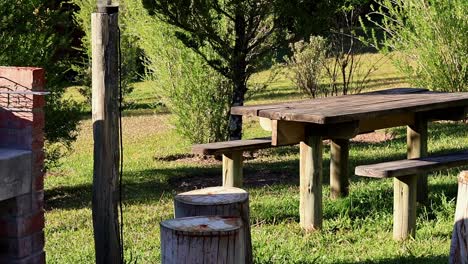 entorno de picnic rústico con muebles desgastados en una zona de braai serena rodeada de naturaleza
