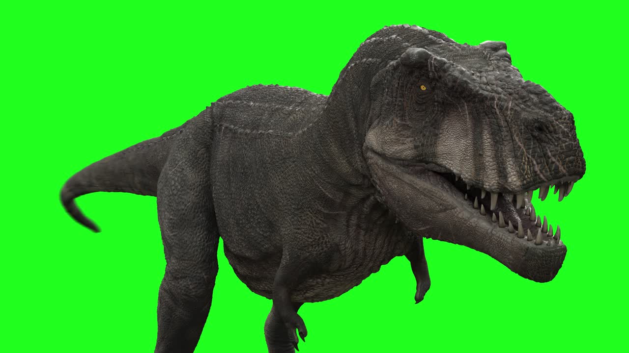 un bucle de dinosaurio trex caminando por un canal verde